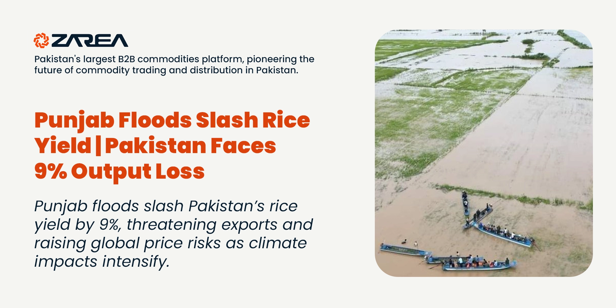 Punjab Floods Slash Rice Yield | Pakistan Faces 9% Output Loss
